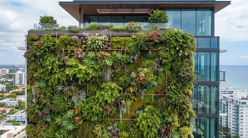 涩里番植物视频 - 垂直花园建造全记录